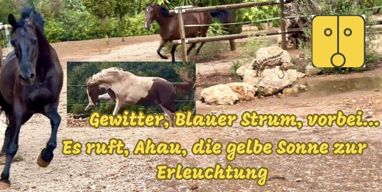 Gewitter, Blauer Sturm, aufgeregte Pferde und Erleuchtung naht mit der Gelben Sonne