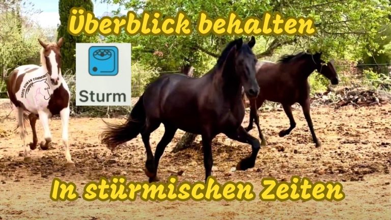 Überblick in stürmischen Zeiten