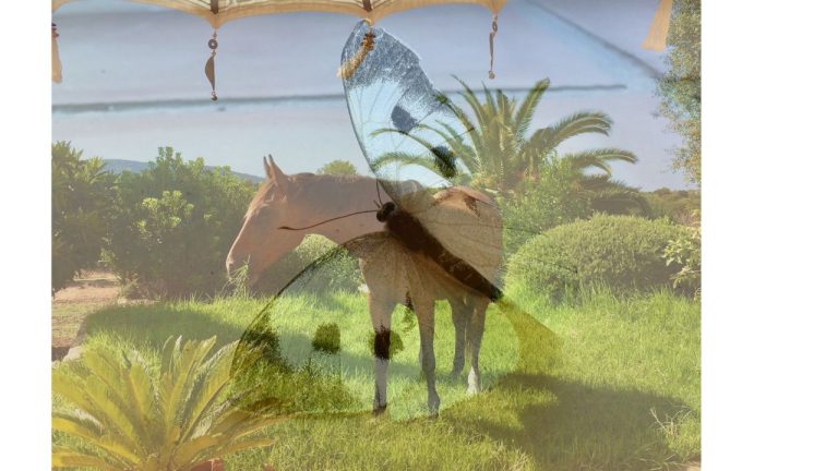 Kommunikation zwischen den Dimensionen und Schleiern und Welten