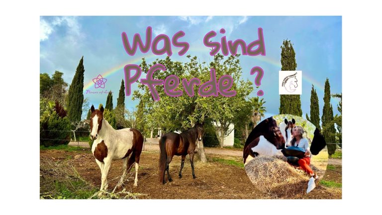 Was sind Pferde?